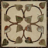 Liana 6 x 6