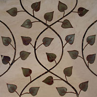 Liana 12 x 12